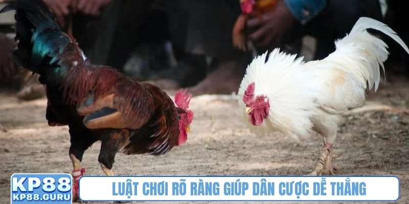 Luật chơi rõ ràng giúp dân cược dễ thắng